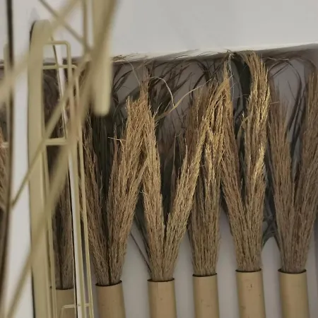 Alexandra's Fira (Santorini)